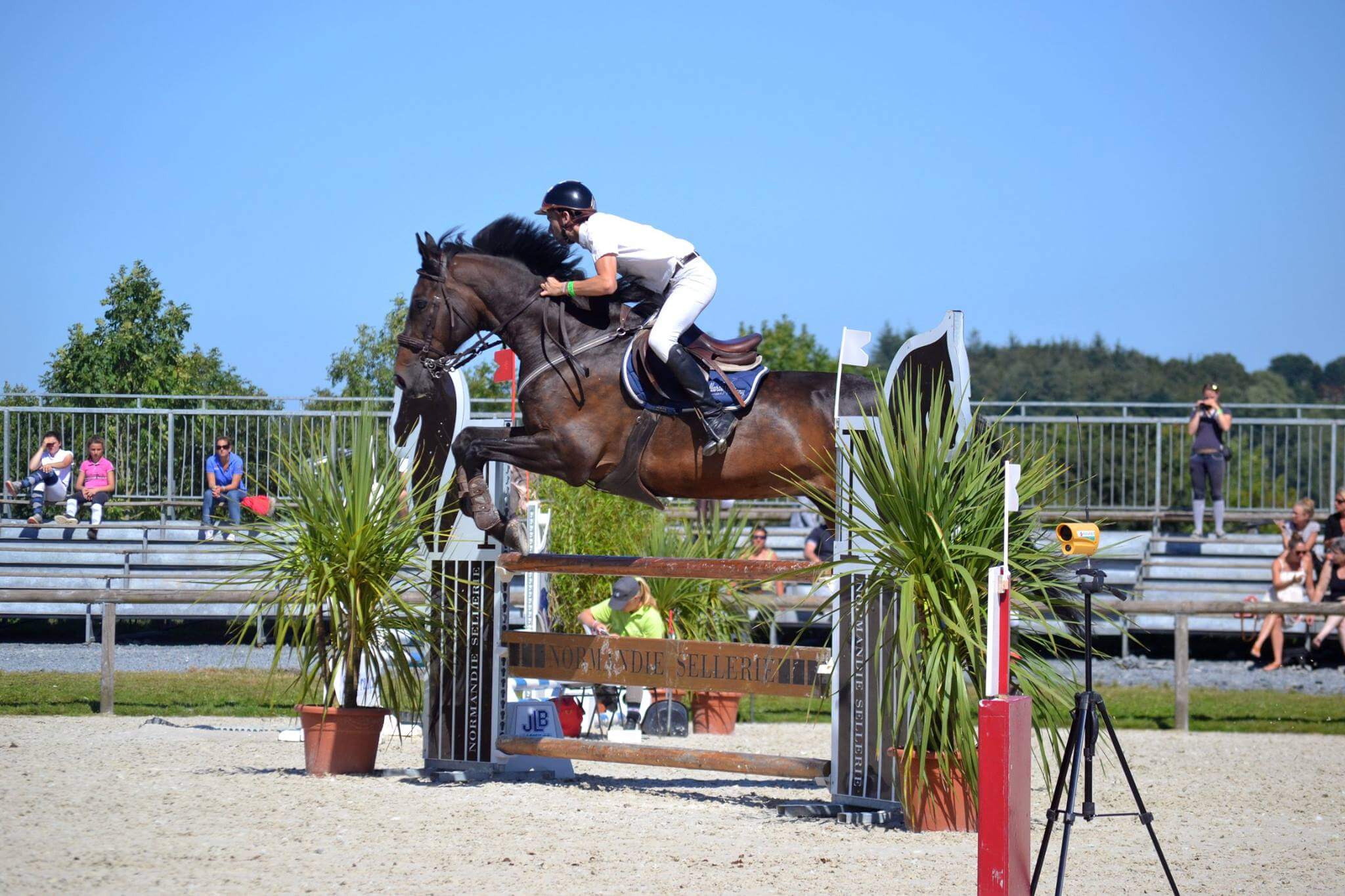 Rider participating in show jumping
